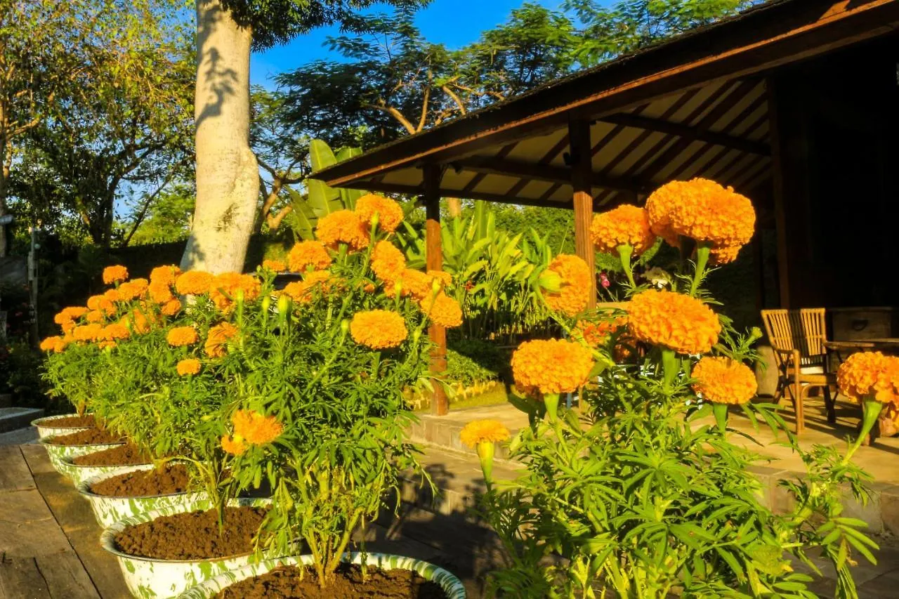 Chanteak Bali - Teak House 1 Jimbaran  Bed & Breakfast Jimbaran (Bali)
